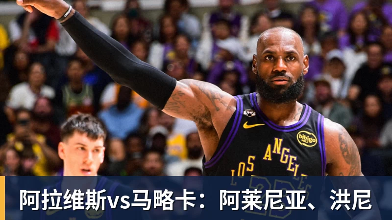 阿拉维斯vs马略卡：阿莱尼亚、洪尼
