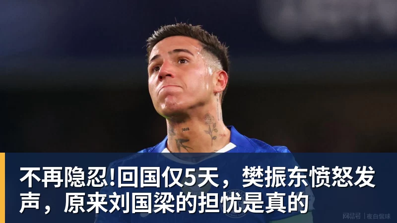 不再隐忍!回国仅5天，樊振东愤怒发声，原来刘国梁的担忧是真的